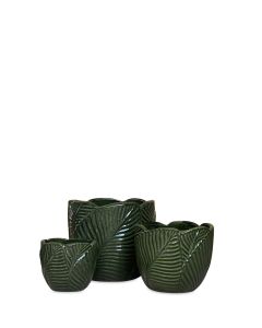 LÖVÖ STENGODSKRUKA FRESHGRÖN S/3