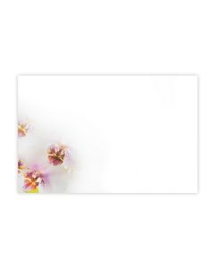 KORT ORKIDÉ 50 ST/FRP