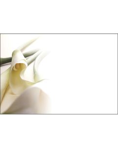 KORT KALLA 50 ST/FRP