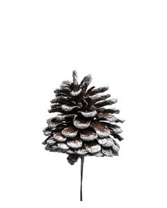 KOTTE MED WIRE VIT D6CM