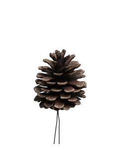 KOTTE MED WIRE NATUR D6CM