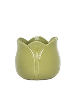 TULIP GRÖN KRUKA D11CM H11CM
