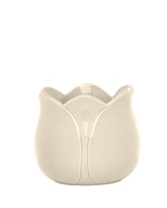 TULIP CREAM KRUKA D11CM H11CM