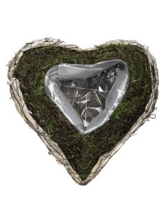 HJÄRTA MOSSA/SALIM/PIL PLANT L25CM B25CM H8CM