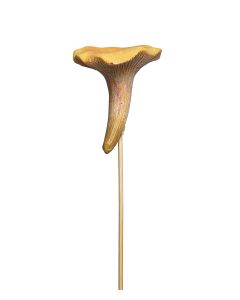 STICKS KANTARELL KERAMIK H8CM