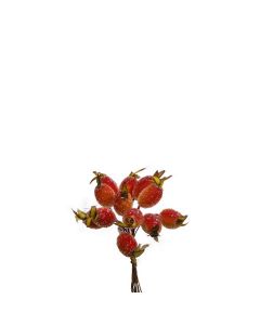 FROSTBITNA NYPON I KNIPPE