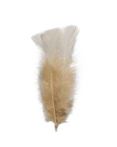 FJÄDRAR 5-PACK APRIKOS