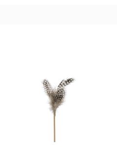 FJÄDER PÅ PINNE BRUN/VIT 