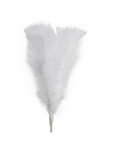 FJÄDRAR PÅ PINNE VIT