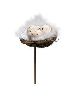 ÄGG I BO MED FJÄDRAR B6CM