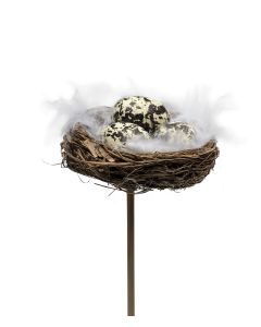 ÄGG I BO MED FJÄDRAR B6CM