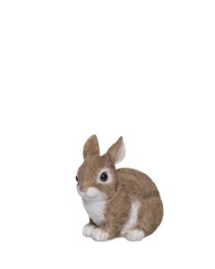 KANINUNGE L15,5CM H14CM