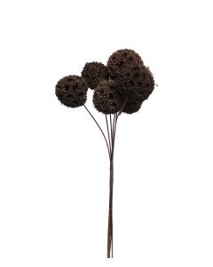 TORKAD H15CM. 6ST BOLLAR/BUNT