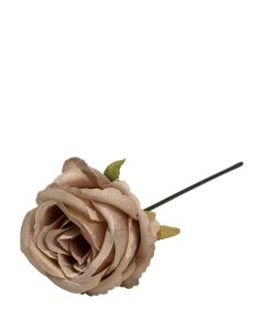 ROS LATTE D5CM H10CM