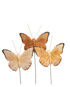 FJÄRILSTICKS ORANGEMIX B8CM