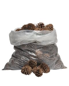 MARITIMA KOTTAR 5/10 100/PLAST BAG