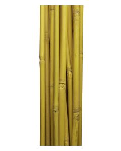 BAMBUPINNAR 10MM*1M 20ST/FP GUL