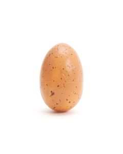 ÄGG BRUN L4CM