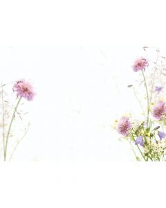 KORT VILDBLOMSTER 50ST