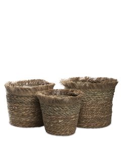 KORG CYLINDER M FRANSKANT S/3