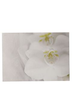 KONDOLEANSKORT M ORCHIDE 7,5*10,5 100ST/FP