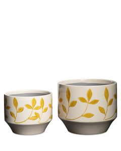 LENA GUL CYLINDER S/2