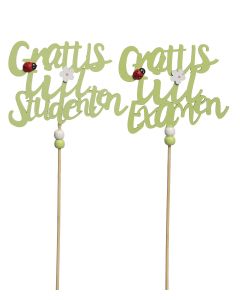 STICKS STUDENT/EXAMEN GRÖN L35CM B10CM