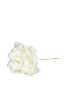 ROS M WIRE CREAM D7CM