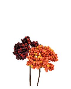 BÄRKNIPPE BORDEAUX/ORANGE MIX