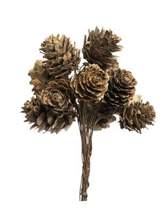 LÄRK KOTTE 12ST/BUNT