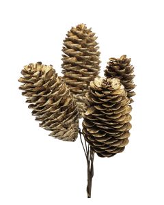 KOTTE 4ST/BUNT L6-8CM