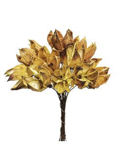 HIBISKUS/BOMULLSROS 12ST/BUNT